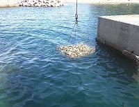新潟県の港湾で使用した築堤マット